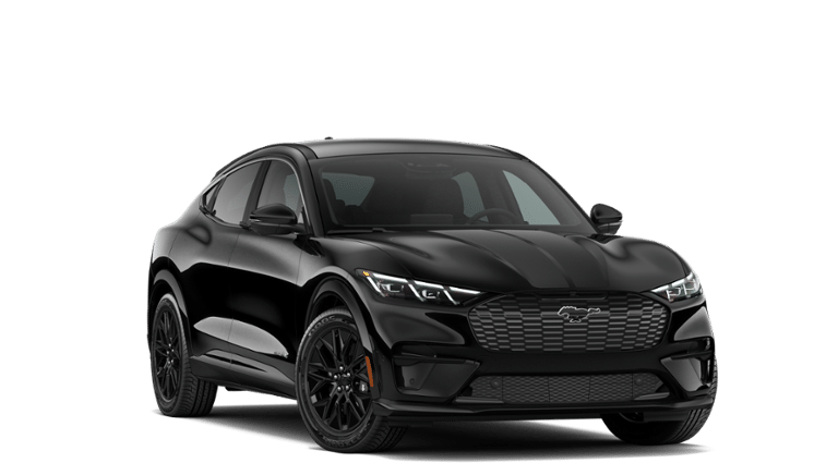 Mustang Mach-E® vehicle